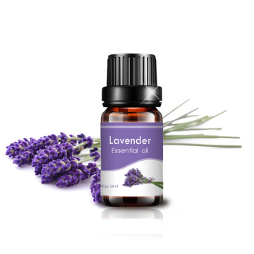 100% Minyak Esensial Lavender Tidur Alami Murni