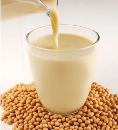 Complete Soymilk Processing line