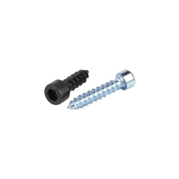 Stainless Steel hex socket head tapping screw