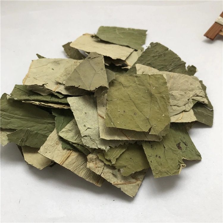 Lotus Leaf Extract