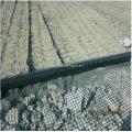 Malha de Geogrid da fibra de vidro do reforço do pavimento