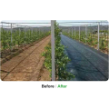 Hot-selling Weed Barrier Fabric Used In Crop Farming