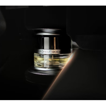 Bulk Mercedes Fragrance Refill Downtown Mood Broad Customer Base