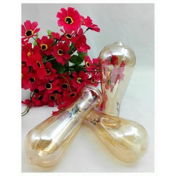 Transparent high temperature paint
