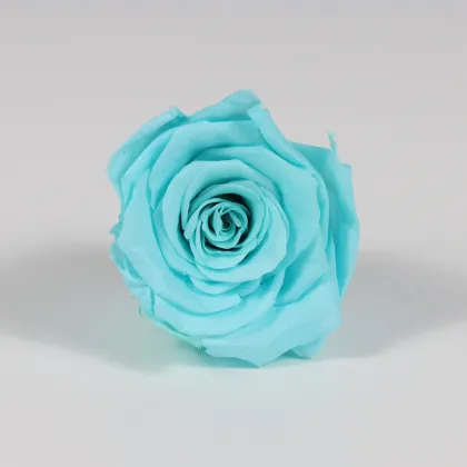 Kunming Freeze Dried Roses 4-5cm Flower Heads