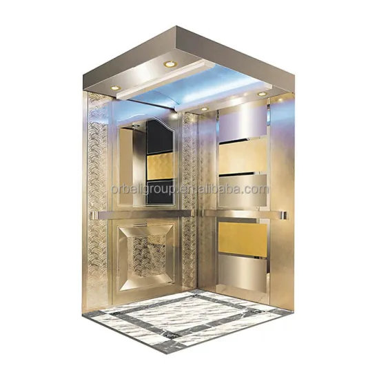 Customized Design Passenger Elevators: 630kg, 800kg, 1000kg Stainless Steel Cabins for Hotels and Apartments