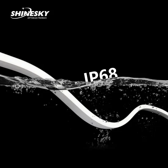 IP68 Waterproof RGB/Digital RGB/Single Color/CCT1615 LED Neon Strip for Swimming Pool