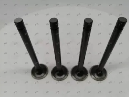 High Quality Replacement Valves for Kubota Diesel Engines