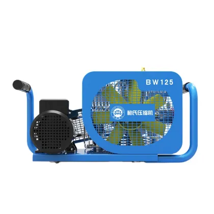 Bauer 100L/MIN Air Compressors with Activated Carbon Molecular Sieve Filter - 300Bar for Sales