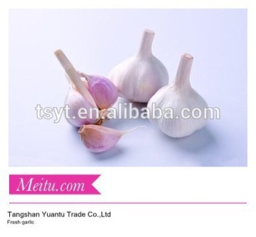 China Fresh Garlic From Professional Supplier of Garlic