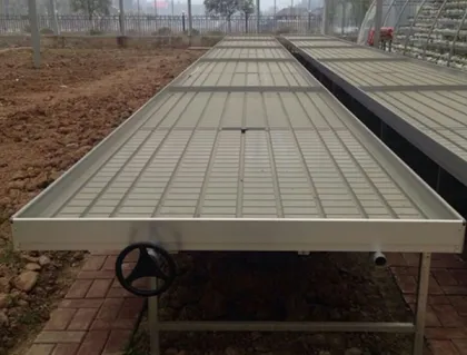 greenhouse agriculture projects