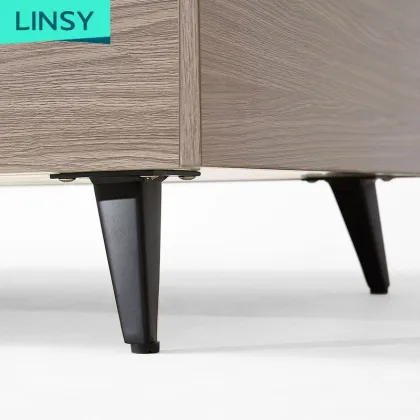 Linsy Nordic Multifunction Living Room Furniture