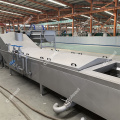 Frozen Broccoli Precooking Machine for salad processing line