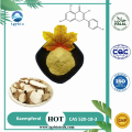 Bcaa Powder 100% Natural Kaempferia Galanga Extract Kaempferol 98% Supplier