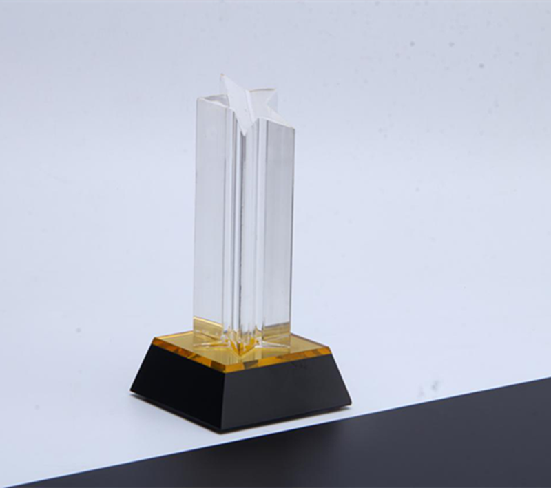 Custom Corporate Acrylic Trophy