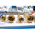 GD40 高压潜孔钻头
