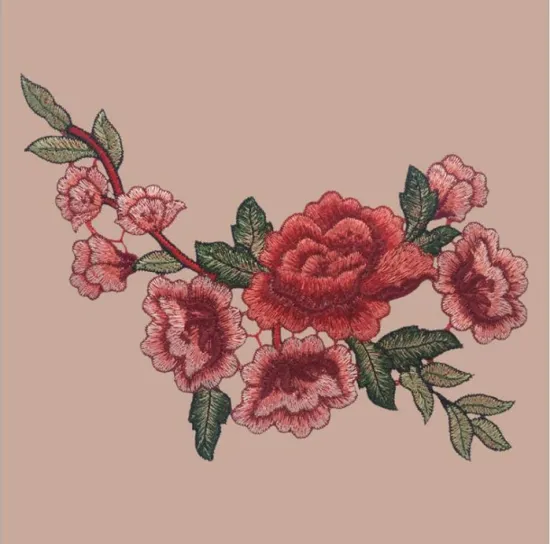 Design Indian Embroidery Motifs for Dresses