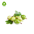 Bio -Bio -beste Qualität 99% Amla Fruchtsaftpulver