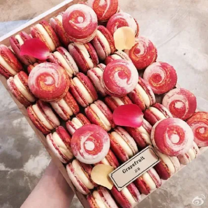 Professional Design Cupcake, Macaron, and Cake Making Machine for Bakery Use