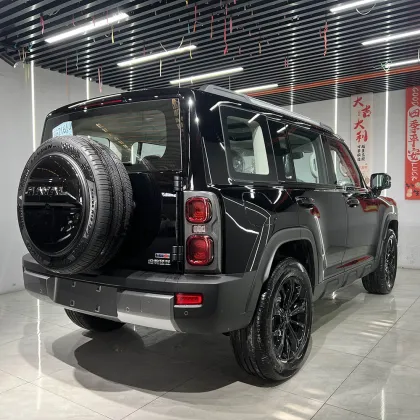 2024 second-hand HAVEL RAPTOR