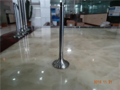 NISSAN Auto Engine Valve Part