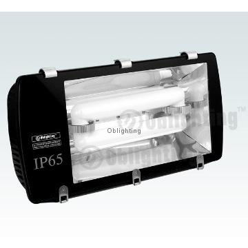 IP65 Energy Saving Induction Outdoor light underground tunnel lighting