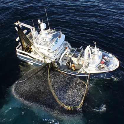 Generic Fishing Danish Seine