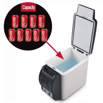 Customized Mini Refrigerator Car