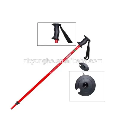 Carbon fiber odm alpine winter sports custom longth cheap ski pole alpine touring skis