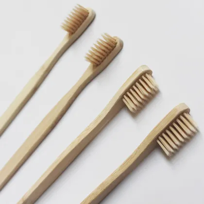 Soft Bristle Toothbrush for Preventing Gum Bleeding