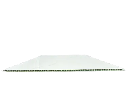 Pale Hue Versatile Wall Cladding