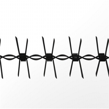 Cheap Bwg16 Electric Galvanzied Barbed Wire