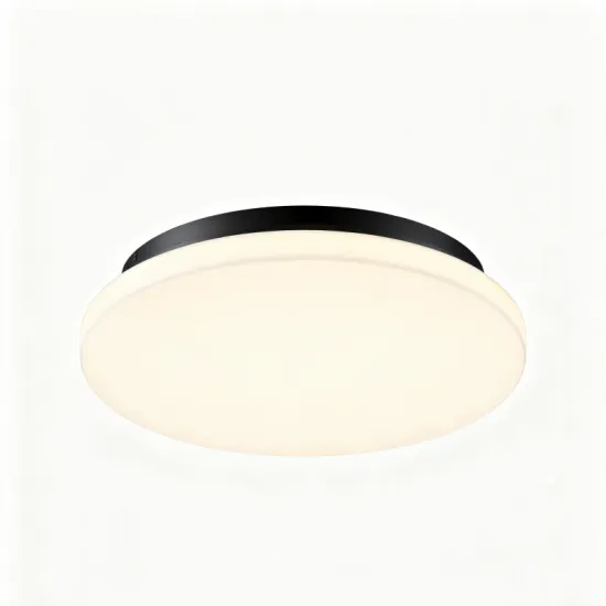 24W LED Ceiling Light for Bathrooms