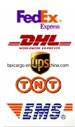 International Express/Door to Door Delivery: DHL / FedEx / UPS / TNT / EMS
