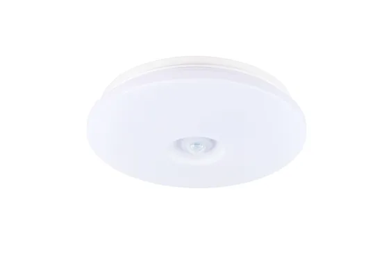 Contemporary LED Ceiling Light for Elegant Decor