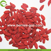 Fabbrica Super Food Migliorare la vista Ningxia Goji