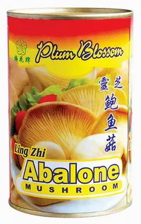 canned abalone mushroom