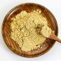 Ginger Extract Ginger Powder