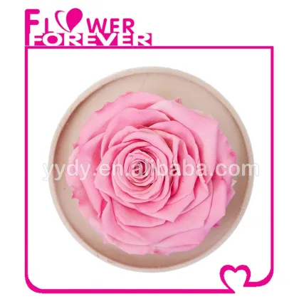 Best Gift Preserved Natural Rose
