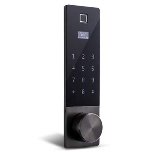 Smart Office Lock mit Gesichtserkennung
