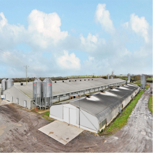 Steel structure prefabricated poultry house