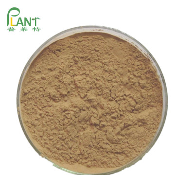 Factory supply pure natural plant extracts extracts Artichoke extract