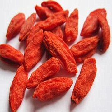 Certified Organic AD Drying Wolfberry Fruit Goji berries