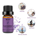 Lebo ya kibinafsi Lavender 100% Harufu safi ya asili mafuta muhimu 10ml kwa aromatherapy diffuser