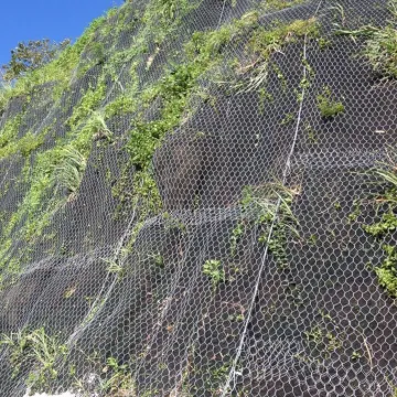 Slope Protection System: Rockfall Barrier with Hexagonal Mesh Netting