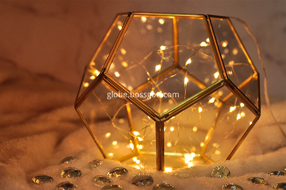 Lantern Terrarium Two Size