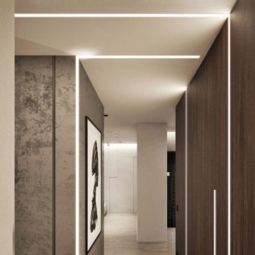 Indoor/Outdoor Aluminum Profile LED Strip Light