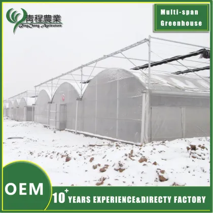 Multi span Greenhouse With Shade Systems