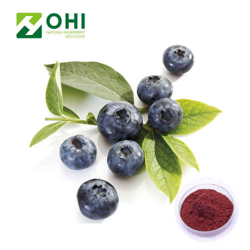 Blueberry Extract 25% Anthocyanidin