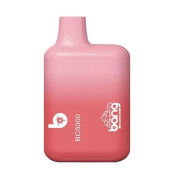 Wholesale Bang BC5000puffs Fruit Flavor
